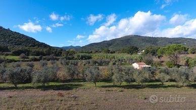 Terreno con annesso