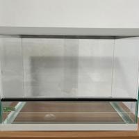 Terrario in vetro – 35€ – Ritiro a mano