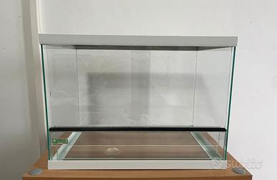 Terrario in vetro – 35€ – Ritiro a mano