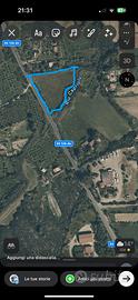Terreno agricolo PREZZO TRATTABILE