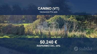 Immobile in asta di 66370 m² a Canino