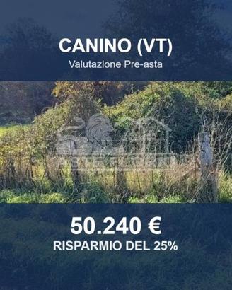 Immobile in asta di 66370 m² a Canino