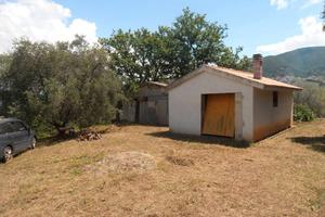 Rif.AA-T15| terreno agricolo scarlino