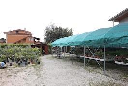 Attivita di vivaio e giardinaggio