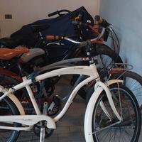 bici cruiser