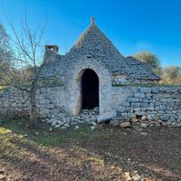 2 TRULLI + Uliveto di 370 alberi