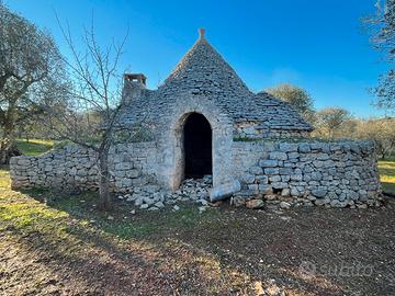 2 TRULLI e Uliveto di 370 alberi