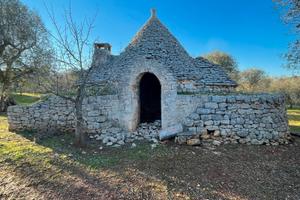 2 TRULLI + Uliveto di 370 alberi