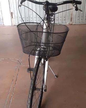 Bici da donna Galetti