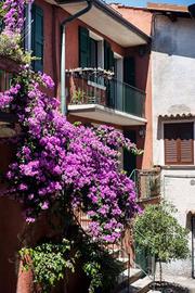 Casa indipendente di 79 m² con 2 locali a Toscolan
