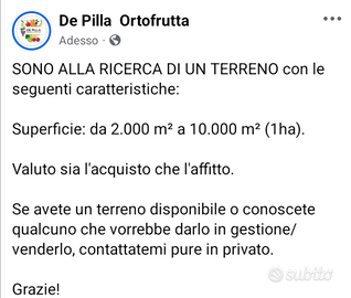 Orto o terreno