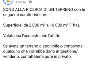 Orto o terreno