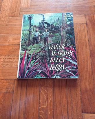 Libro vintage Viaggio al centro della terra Giulio