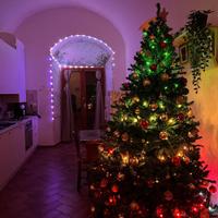 Albero di natale 