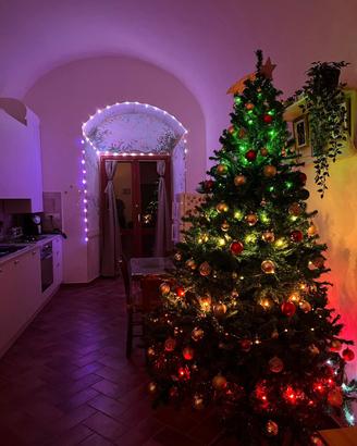 Albero di natale 