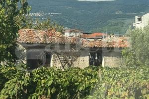 Terreno Agricolo Lamezia Terme