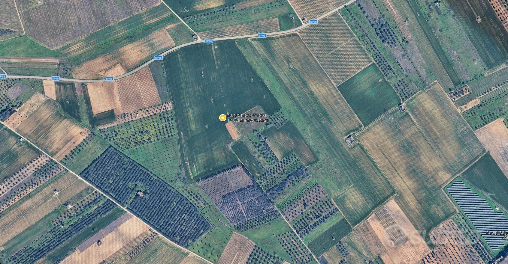 TERRENO AGRICOLO DI 1,38 ETTARI CON ULIVI GIOVANI - Vista 3
