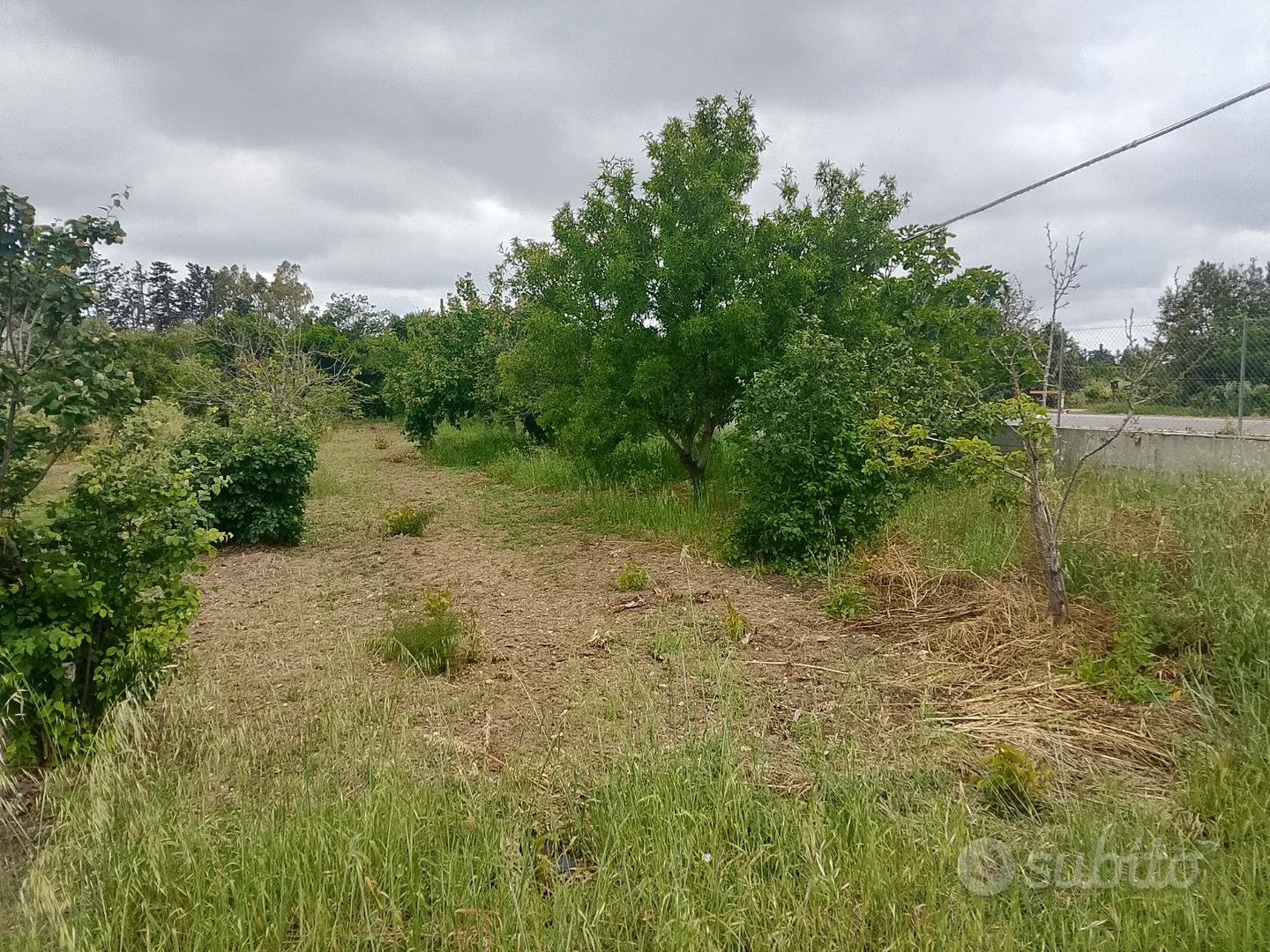 Terreno agricolo,con deposito cat.C2 - Vista 4
