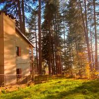 Casa vacanze Lorica Sila lago Arvo