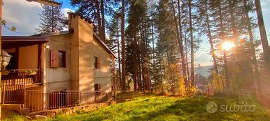 Casa vacanze Lorica Sila lago Arvo