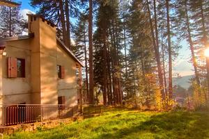 Casa vacanze Lorica Sila lago Arvo