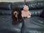 Immagine 4