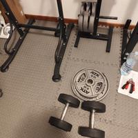 Home Gym palestra da casa dischi rack addominali 