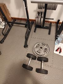 Home Gym palestra da casa dischi rack addominali 