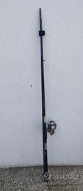 Canna Daiwa Tournament 4,12 mt