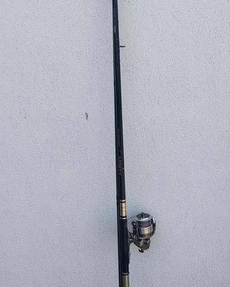 Canna Daiwa Tournament 4,12 mt