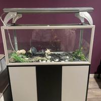 Acquario + Mobile + Supporto luci