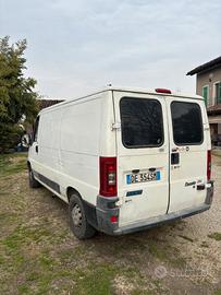 Fiat ducato 
