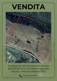 Vendita terreno e casolare