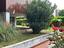 Immagine 19
