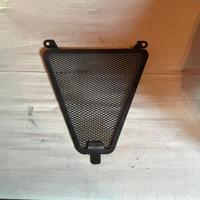 Protezione radiatore Panigale