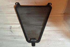 Protezione radiatore Panigale