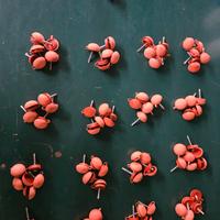 viti autofilettanti con cappuccio telo copertura