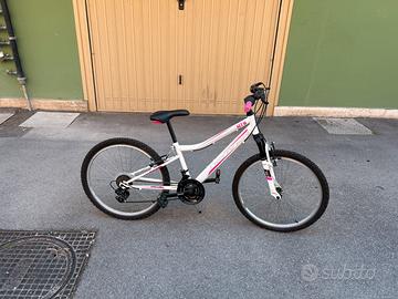 mountain-bike