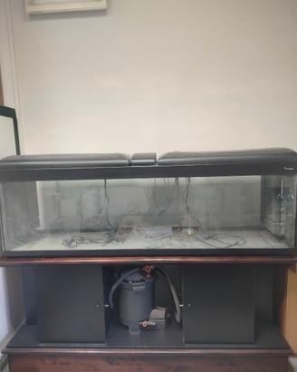 Acquario