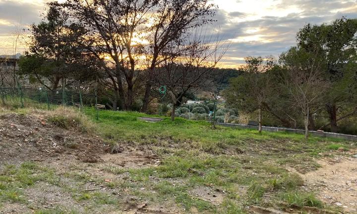 Terreno agricolo 3000 mq Palinuro