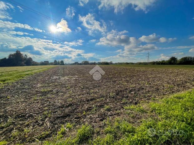 TER. AGRICOLO A BERNAREGGIO