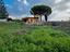 Immagine 12