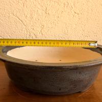 Vaso bonsai