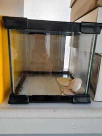 acquario  o rettilariodi vetro quadrato