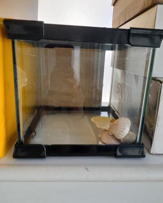 acquario  o rettilariodi vetro quadrato