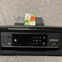 Stampante multi funzione Epson XP-442