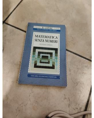 libro matematica senza numeri