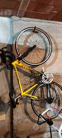 bicicletta da corsa Pinarello