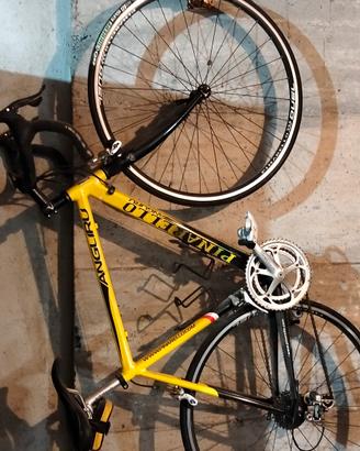 bicicletta da corsa Pinarello