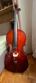 Violoncello 3/4